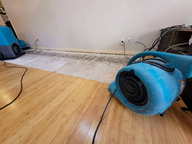 Professional Sewage Cleanup technician working in Pelham, TN